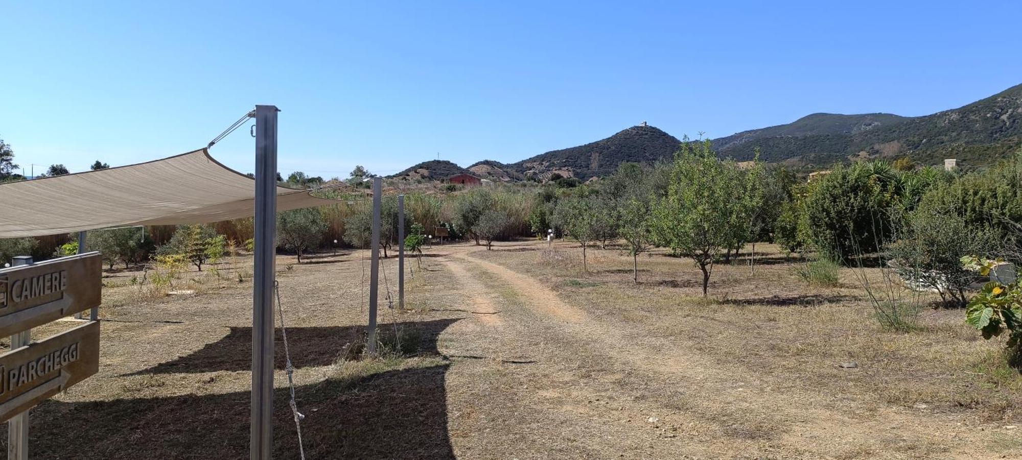 Sa Teria Village - Appartamenti - Tertenìa Екстериор снимка