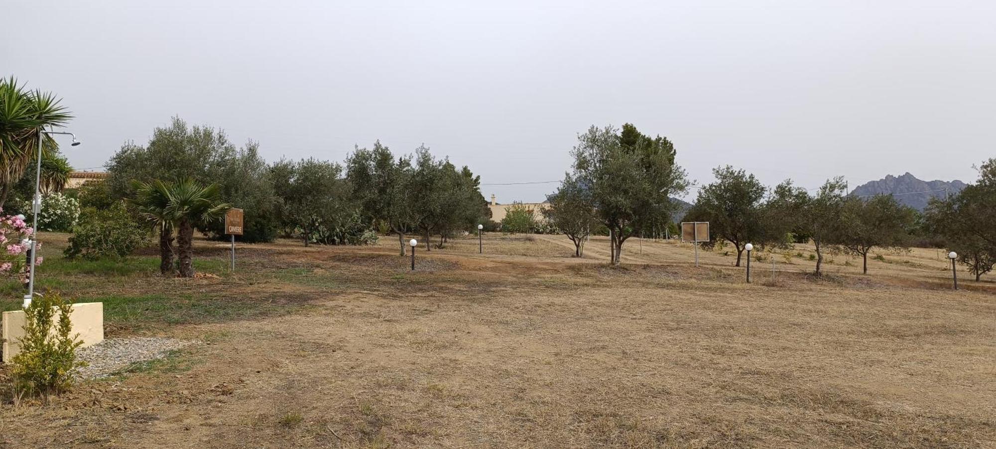 Sa Teria Village - Appartamenti - Tertenìa Екстериор снимка