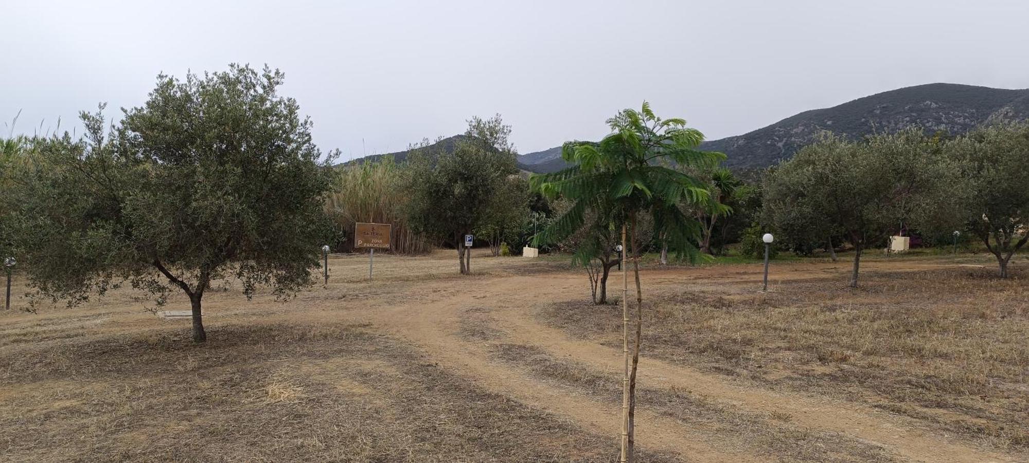 Sa Teria Village - Appartamenti - Tertenìa Екстериор снимка