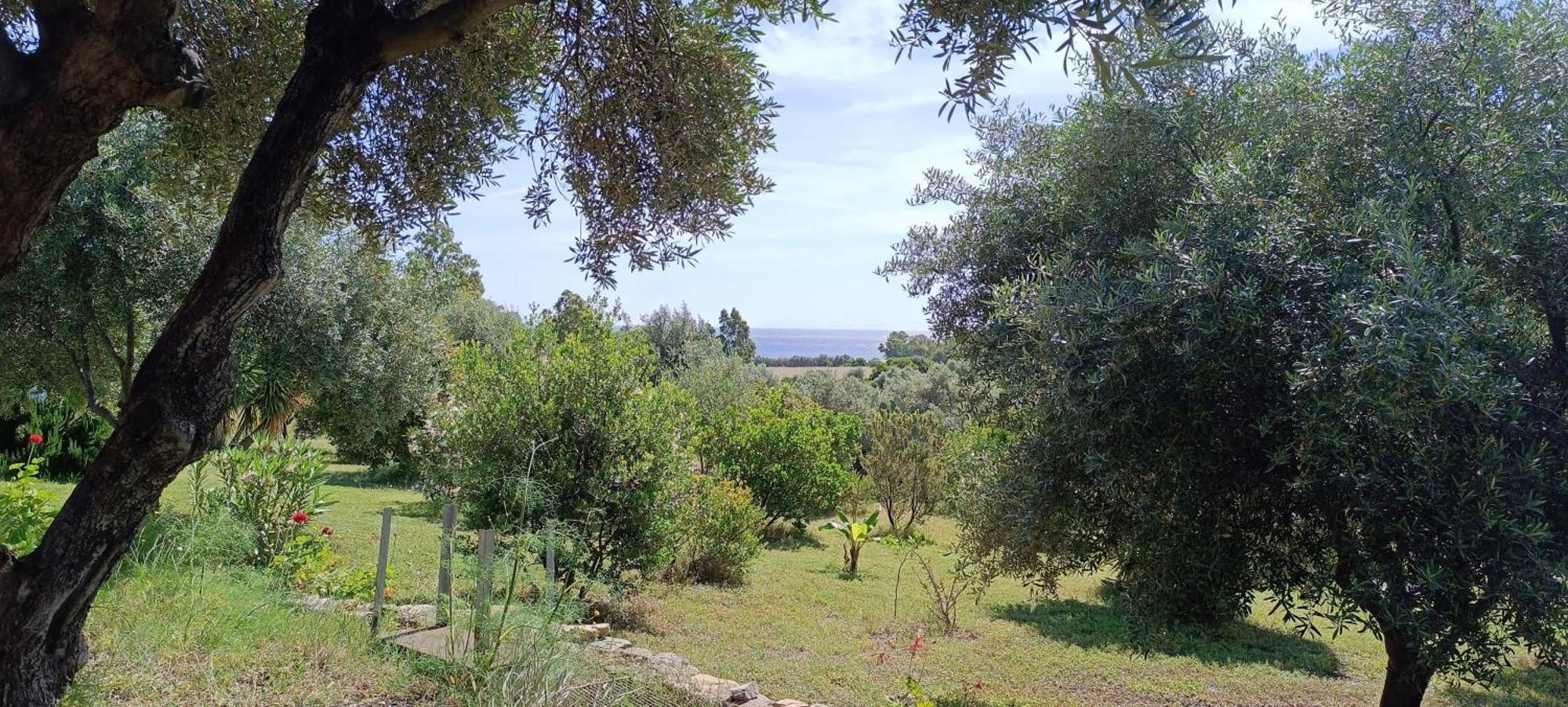 Sa Teria Village - Appartamenti - Tertenìa Екстериор снимка