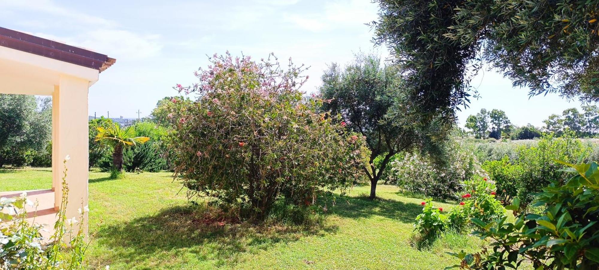 Sa Teria Village - Appartamenti - Tertenìa Екстериор снимка