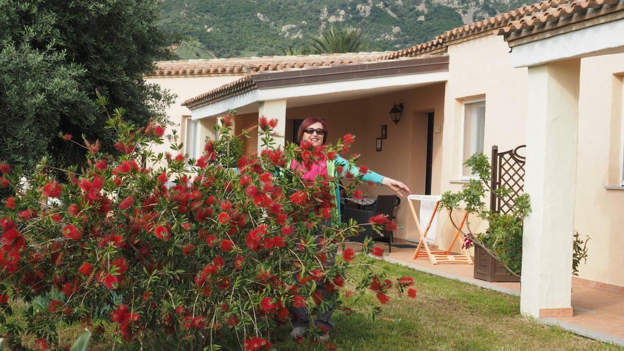 Sa Teria Village - Appartamenti - Tertenìa Екстериор снимка