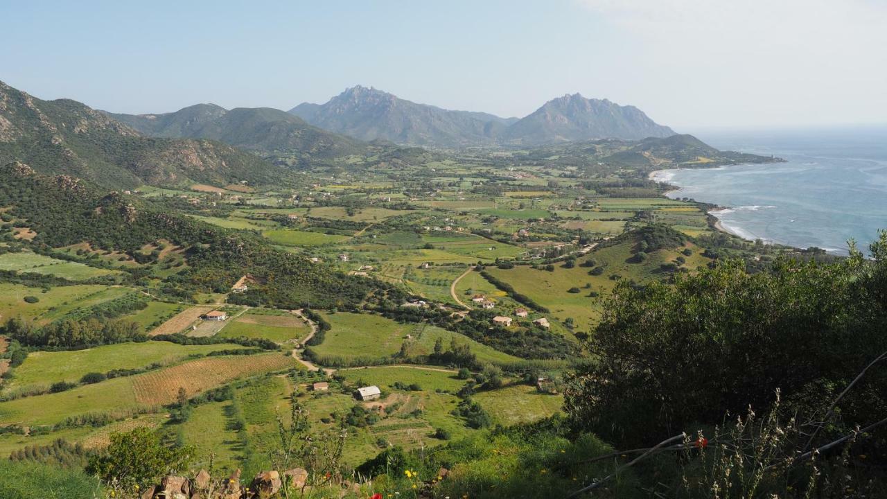 Sa Teria Village - Appartamenti - Tertenìa Екстериор снимка