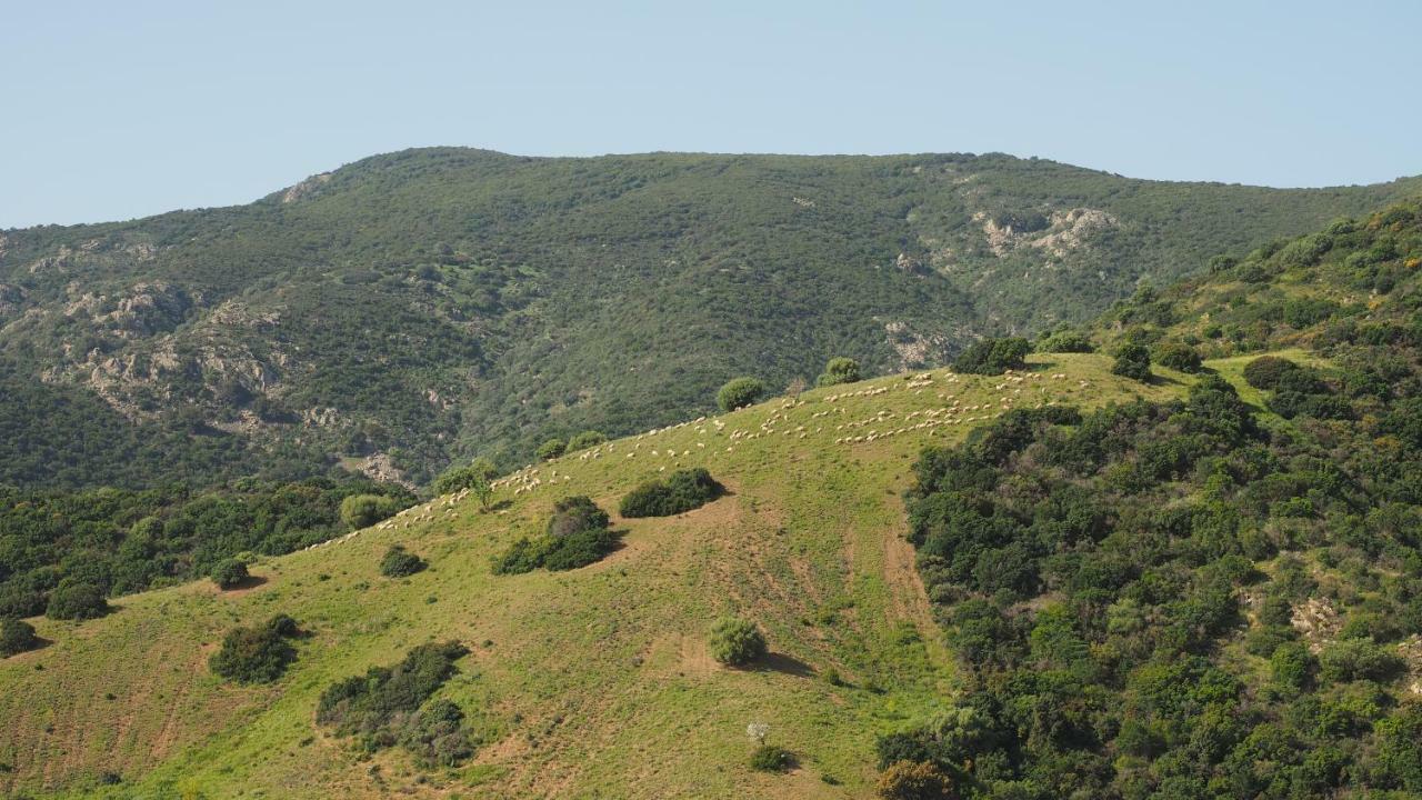 Sa Teria Village - Appartamenti - Tertenìa Екстериор снимка